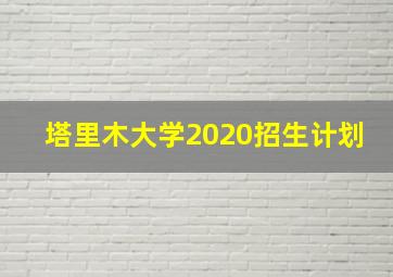 塔里木大学2020招生计划