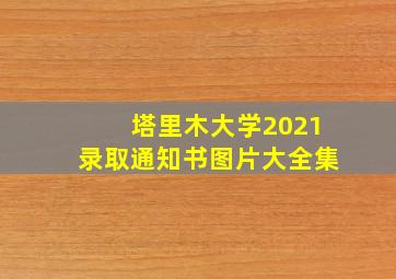 塔里木大学2021录取通知书图片大全集