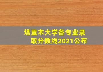 塔里木大学各专业录取分数线2021公布