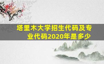 塔里木大学招生代码及专业代码2020年是多少