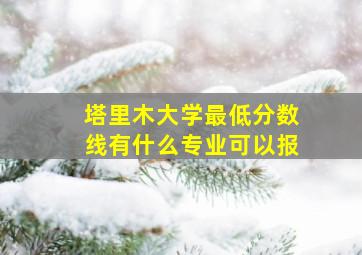 塔里木大学最低分数线有什么专业可以报