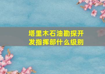 塔里木石油勘探开发指挥部什么级别