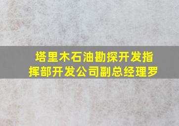 塔里木石油勘探开发指挥部开发公司副总经理罗