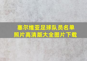 塞尔维亚足球队员名单照片高清版大全图片下载