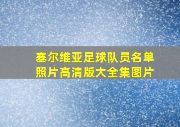 塞尔维亚足球队员名单照片高清版大全集图片