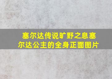 塞尔达传说旷野之息塞尔达公主的全身正面图片