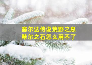 塞尔达传说荒野之息希尔之石怎么用不了