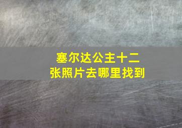 塞尔达公主十二张照片去哪里找到