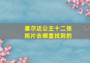 塞尔达公主十二张照片去哪里找到的