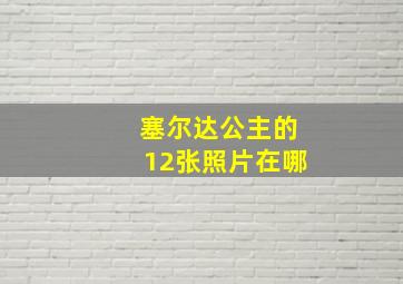 塞尔达公主的12张照片在哪