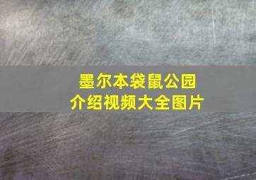 墨尔本袋鼠公园介绍视频大全图片