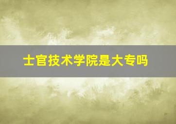 士官技术学院是大专吗