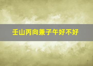 壬山丙向兼子午好不好