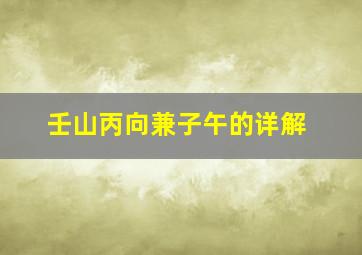 壬山丙向兼子午的详解