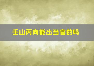 壬山丙向能出当官的吗