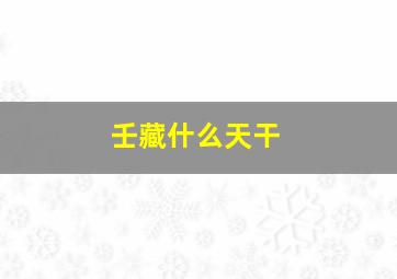 壬藏什么天干