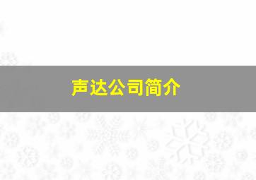 声达公司简介