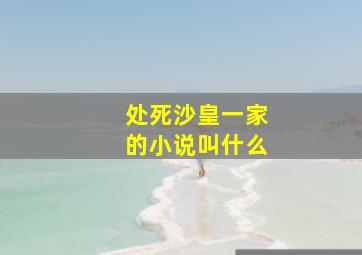 处死沙皇一家的小说叫什么