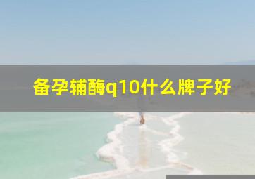 备孕辅酶q10什么牌子好