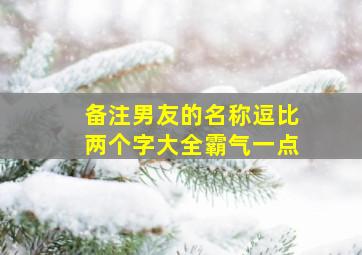 备注男友的名称逗比两个字大全霸气一点