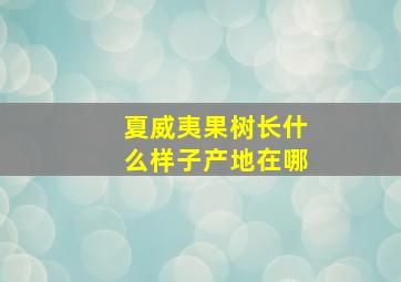 夏威夷果树长什么样子产地在哪