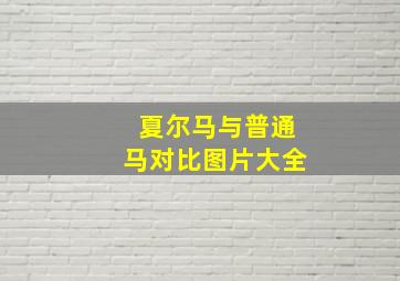 夏尔马与普通马对比图片大全