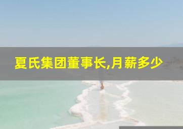 夏氏集团董事长,月薪多少