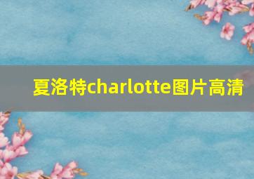 夏洛特charlotte图片高清