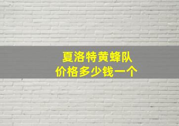 夏洛特黄蜂队价格多少钱一个