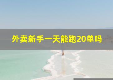 外卖新手一天能跑20单吗