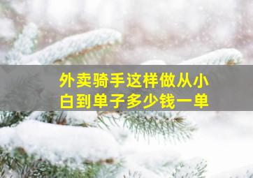 外卖骑手这样做从小白到单子多少钱一单