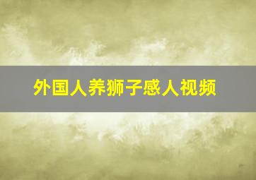 外国人养狮子感人视频