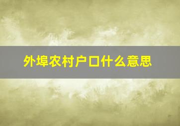 外埠农村户口什么意思