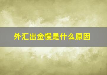 外汇出金慢是什么原因