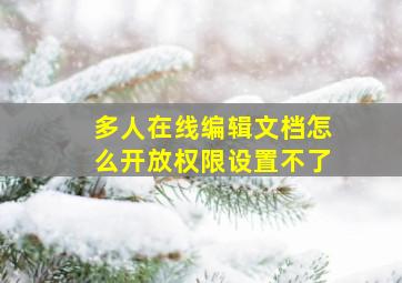 多人在线编辑文档怎么开放权限设置不了