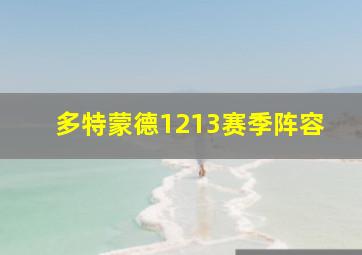 多特蒙德1213赛季阵容