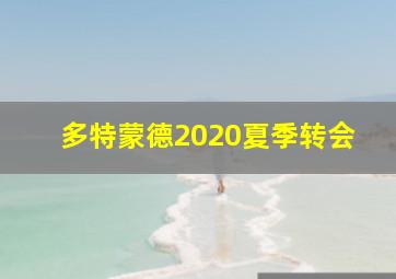 多特蒙德2020夏季转会