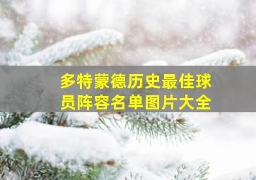 多特蒙德历史最佳球员阵容名单图片大全