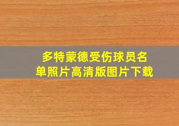 多特蒙德受伤球员名单照片高清版图片下载