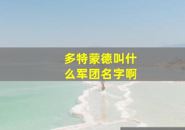 多特蒙德叫什么军团名字啊