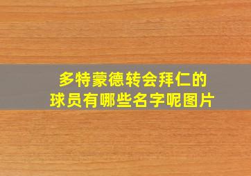 多特蒙德转会拜仁的球员有哪些名字呢图片