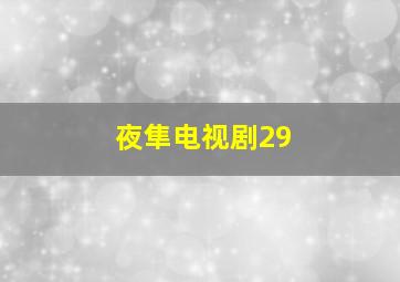 夜隼电视剧29