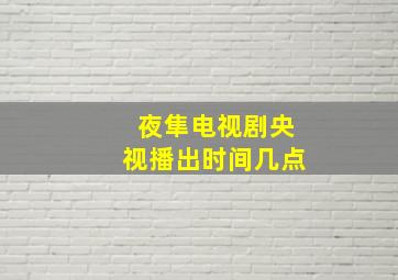 夜隼电视剧央视播出时间几点