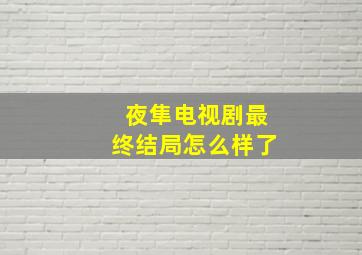 夜隼电视剧最终结局怎么样了