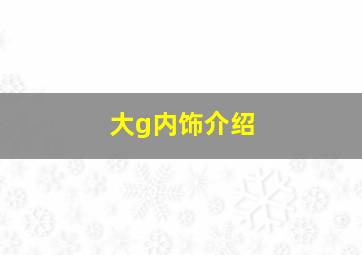 大g内饰介绍