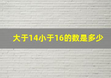 大于14小于16的数是多少