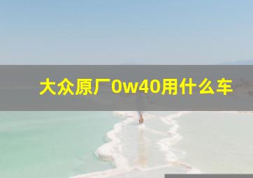 大众原厂0w40用什么车