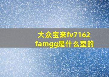 大众宝来fv7162famgg是什么型的