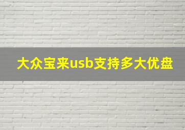 大众宝来usb支持多大优盘