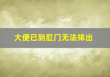 大便已到肛门无法排出